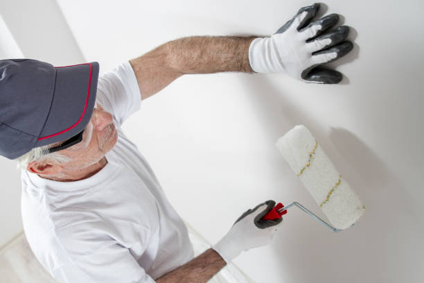 Best Black Mold Removal  in New Concord, OH