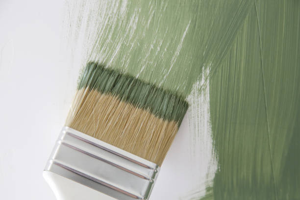 Best Forensic Mold Investigation  in New Concord, OH