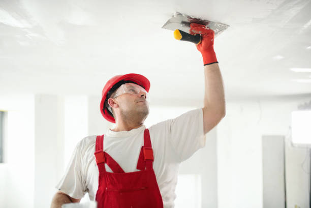 Best Post-Construction Mold Inspection  in New Concord, OH