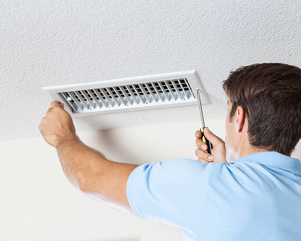 Best Mold Documentation for Insurance Claims  in New Concord, OH